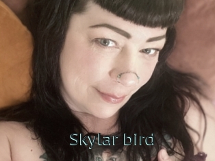 Skylar_bird