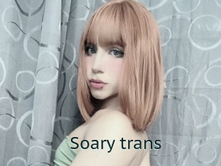 Soary_trans