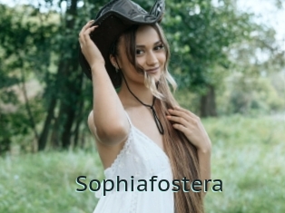 Sophiafostera