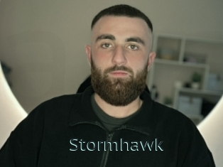 stormhawk Anal X