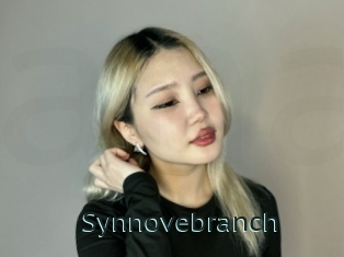 Synnovebranch