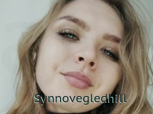 Synnovegledhill