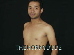 THEHORNYDUDE