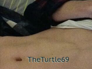 TheTurtle69