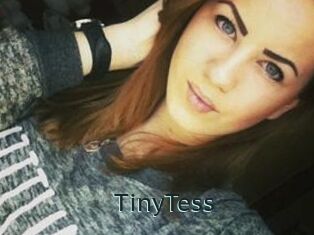 TinyTess