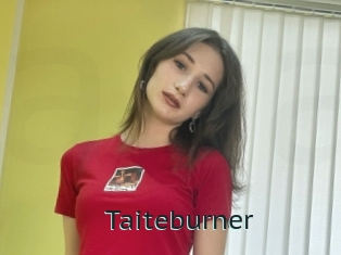 Taiteburner