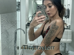 Tiny_taylorr