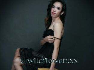 Urwildflowerxxx