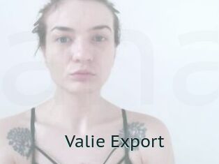 Valie_Export Anal X