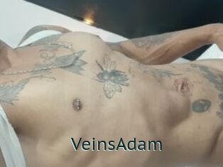 VeinsAdam Anal X