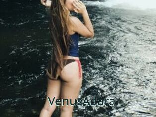 VenusAdara