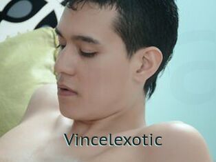 Vincelexotic
