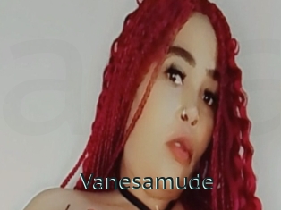 Vanesamude