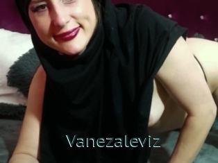 Vanezaleviz