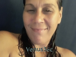 Venus36c