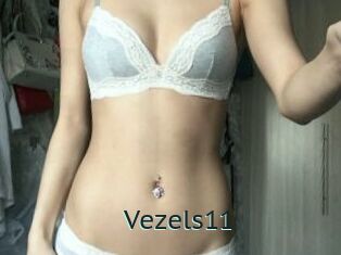 Vezels11