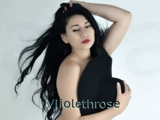 Viiolethrose
