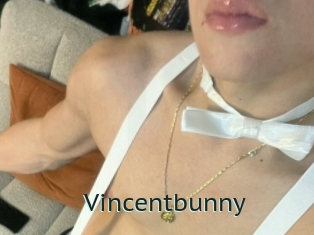 Vincentbunny