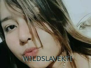 WILDSLAVEKTI