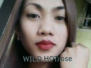WILD_HOTrose