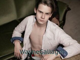 WayneGallager