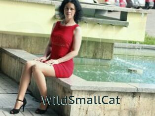 WildSmallCat