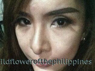 Wildflowerofthephilippines