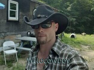 Wildcowboy