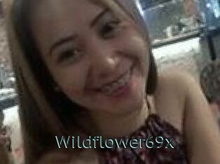Wildflower69x