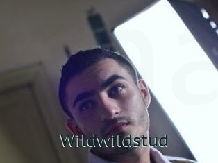 wildwildstud Anal X