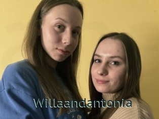 Willaandantonia