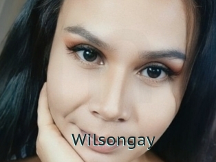 Wilsongay