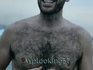 wplooking37 Anal X