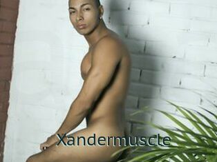 Xandermuscle