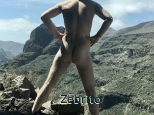 Zebrito