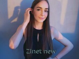 Zinet_new