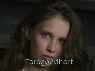 Zaragoodhart