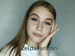 Zeldacannon