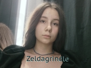 Zeldagrindle